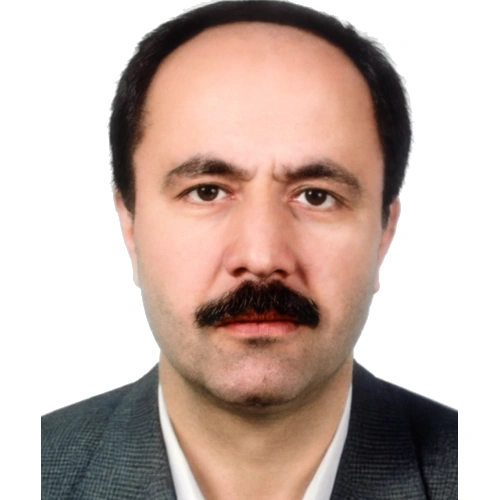دکتر حسین مشهدی نژاد